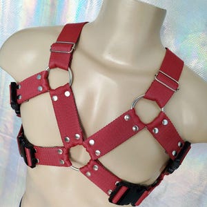 Quartz Harness [Fursuit Harness or Non Fursuiter]