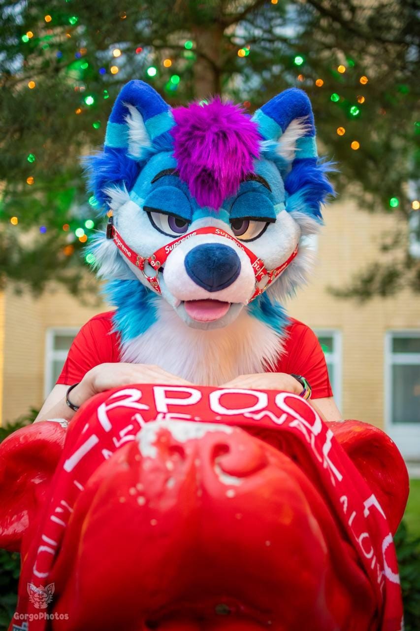 Normal Fursuit Fursuit Harness Muzzle — (ajustable, for Normal Fursuit or Kemono) - Etsy