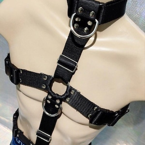 Rough Play Full Harness [Fursuit Harness or Non Fursuiter]