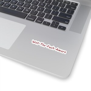 Well-The-Fuck-Aware Onyx Storm Sticker image 4