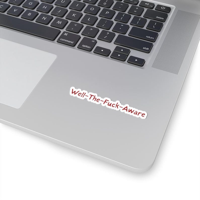 Well-The-Fuck-Aware Onyx Storm Sticker image 4