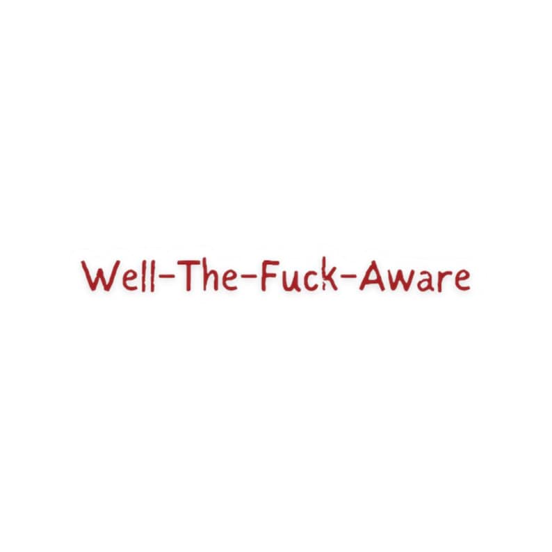 Well-The-Fuck-Aware Onyx Storm Sticker image 1