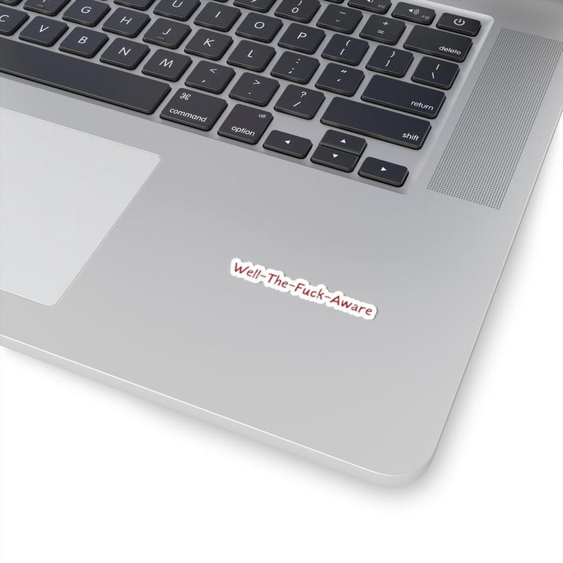 Well-The-Fuck-Aware Onyx Storm Sticker image 2