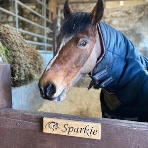 May include: A brown horse with a white stripe on its face is wearing a blue neck warmer. The horse is in a stable with a wooden sign that says "Sparkie".