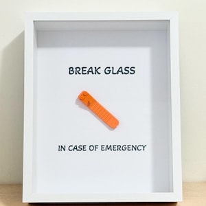 May include: A white frame with a white background and the text "BREAK GLASS IN CASE OF EMERGENCY". An orange plastic brick is attached to the background.
