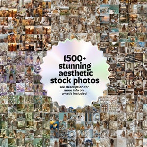 1500 fotos de marketing digital, pacote de fotos estéticas do Instagram, imagens de mídia social MRR e PLR, DFY Instagram Reels Content