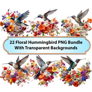 Floral Hummingbird Clipart PNG Bundle, commercial use bird Bundle, hummingbird graphic, Digital hummingbird download, CommercialUse clip art