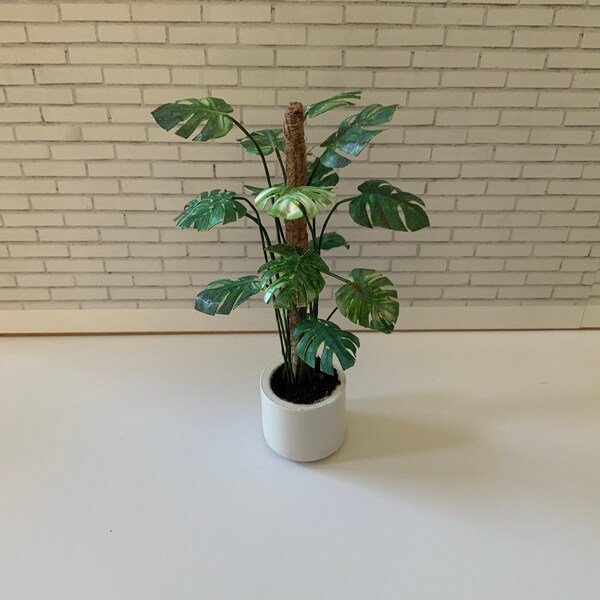 Monstera planta de casa en miniatura moderna escala 1/12