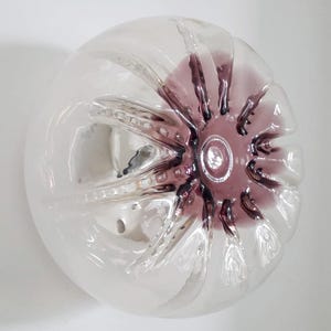 Pu&ograve; includere: Una ciotola di vetro trasparente con una superficie testurizzata e un fondo colorato di viola. La ciotola ha una forma rotonda e un'ampia apertura.