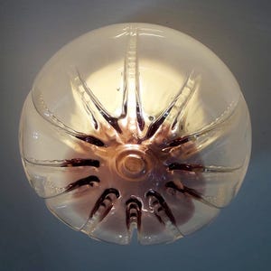 Pu&ograve; includere: Un paralume in plastica trasparente con un fondo marrone chiaro e testurizzato. Il paralume &egrave; illuminato dall'interno, creando una luce calda.