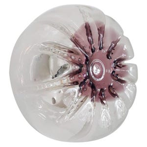 Pu&ograve; includere: Un tappo per bottiglia in vetro trasparente con una superficie testurizzata e un design a forma di stella di colore viola.