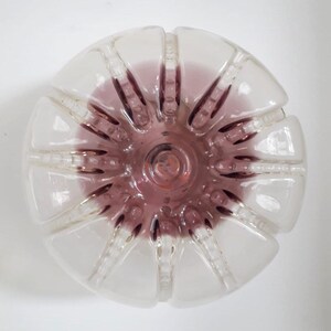 Pu&ograve; includere: Una ciotola di plastica trasparente con un design testurizzato a forma di fiore. La ciotola ha una tonalit&agrave; viola e un centro rialzato.
