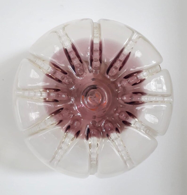 Pu&ograve; includere: Una ciotola di plastica trasparente con un design testurizzato a forma di fiore. La ciotola ha una tonalit&agrave; viola e un centro rialzato.