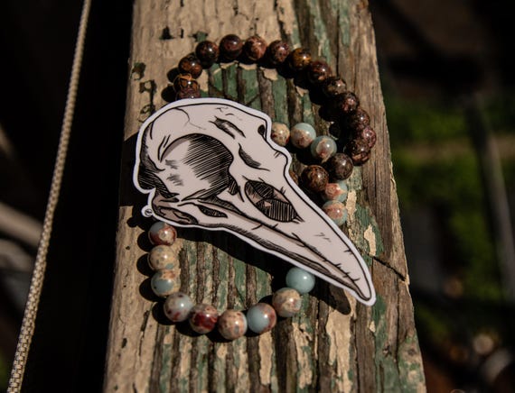 Bird Skull Sticker - Hand-Drawn Sticker for Laptop, Water Bottle, or Planner - Macabre Art Decal - Horror Aethetic - Gothic Decor - Gifts