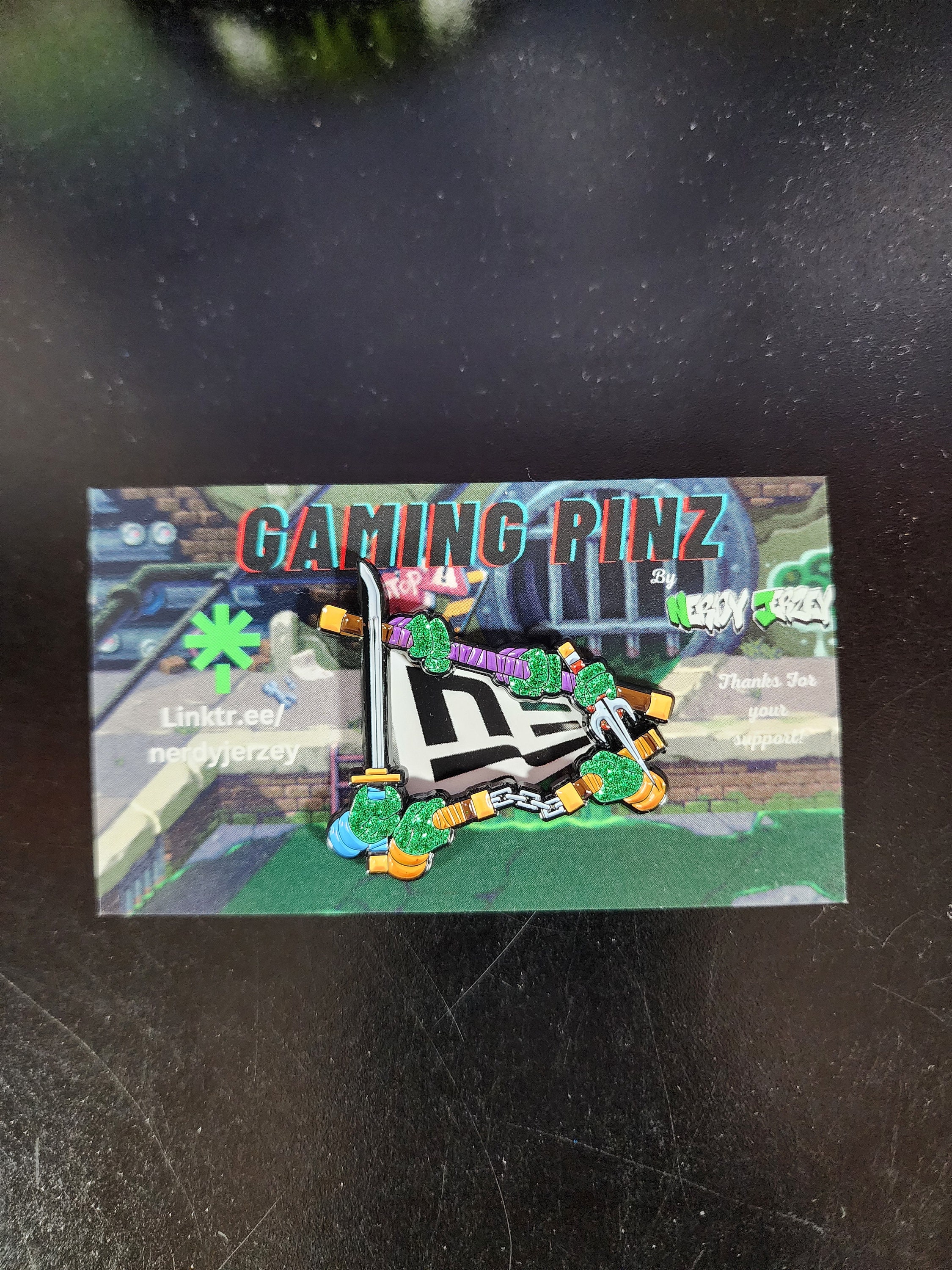TMNT NE Flag Frame Pin