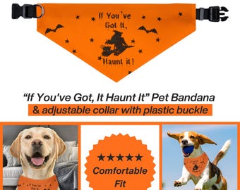 If You&#39;ve Got It Haunt It Pet Bandana, Pet Bandana Collar, Halloween pet collar, dog bandana, Halloween