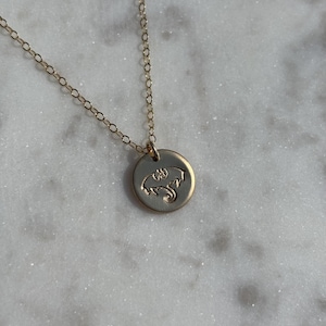 Dragon Necklace, Bookish Jewelry, Fantasy Reader Gift, Romantasy Book Gift, 14k Gold Filled or Sterling Silver, Dragon Rider Necklace