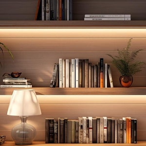 Puede incluir: Una estantería de madera con tres estantes, cada uno lleno de libros y plantas. Los estantes están iluminados con luces LED blancas cálidas. El estante superior tiene un jarrón con una sola flor. El estante del medio tiene una planta de helecho en una maceta de cobre. El estante inferior tiene una lámpara con una pantalla blanca y una base de vidrio transparente.