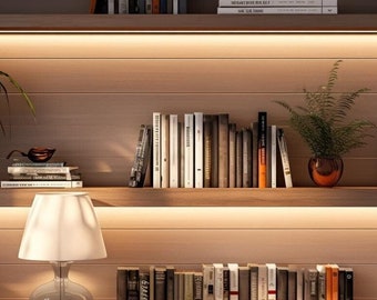 Modern Office Library Bookcase Zoom Background | Professional Virtual Background for Zoom/Videoconferences/Streaming
