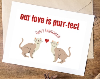 Funny Anniversary Card, Anniversary Card for Husband, Anniversary Card for Wife, Card for Boyfriend, card for boyfriend, card for girlfriend