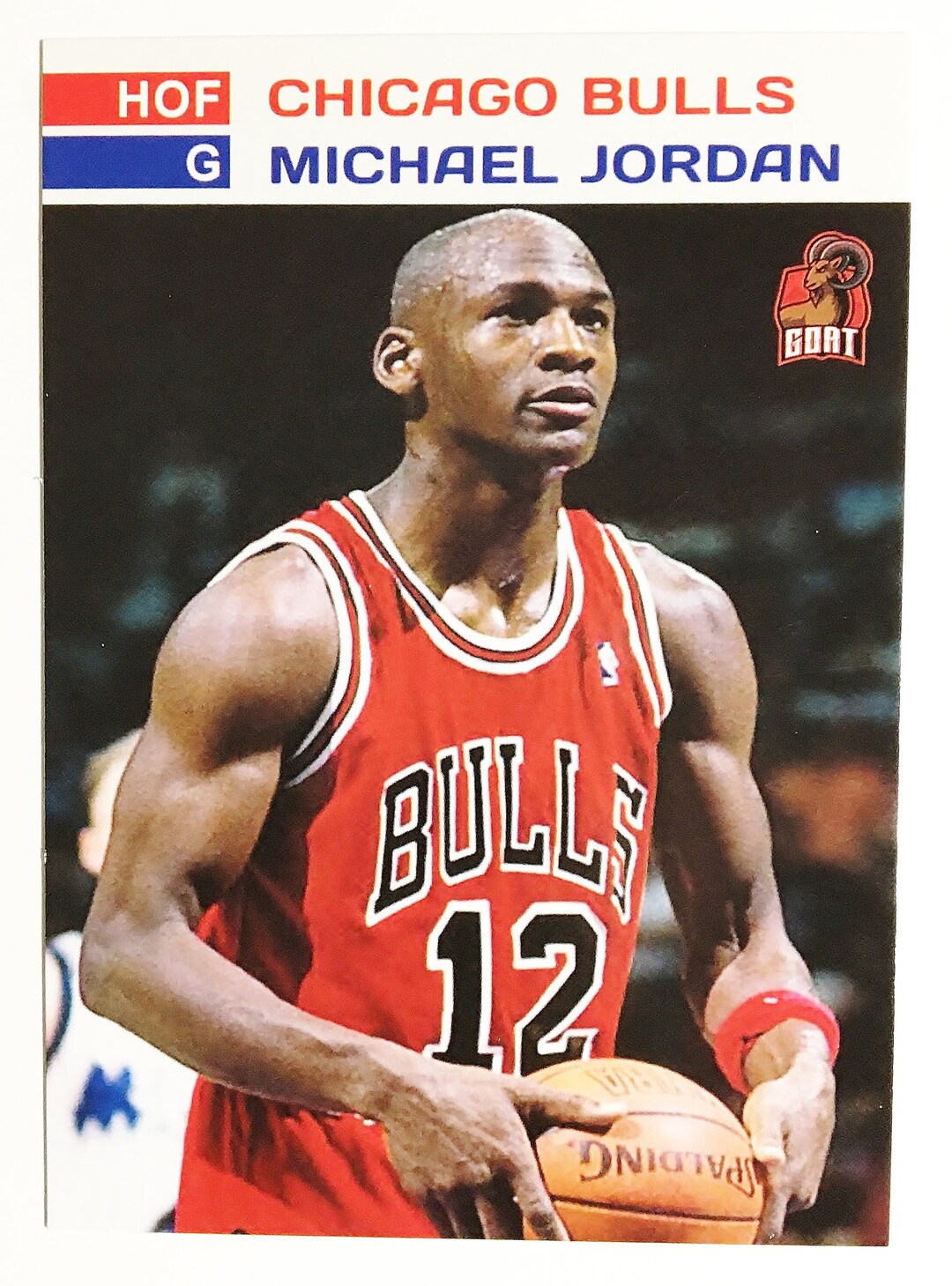 michael jordan hall of fame shoes