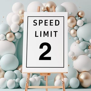 Modello di cartello limite di velocità 2, cartello per festa di compleanno di DUE VELOCI auto da corsa, arredamento stampabile di 2 anni veloci, cartello di limite di velocità, due veloci