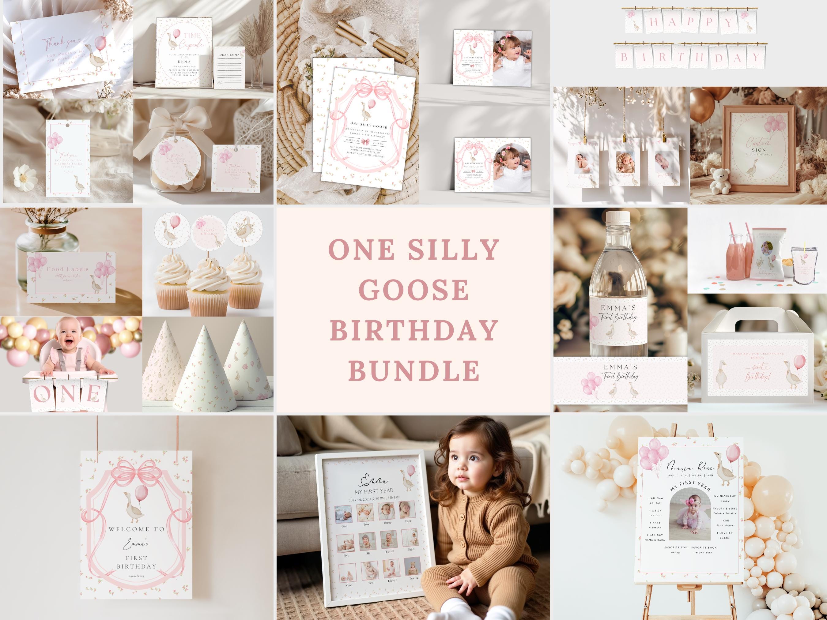 One Silly Goose First Birthday Bundle, Vintage Floral Goose Invite First Birthday Bundle, Pink Girls 1st Birthday Boho invite,