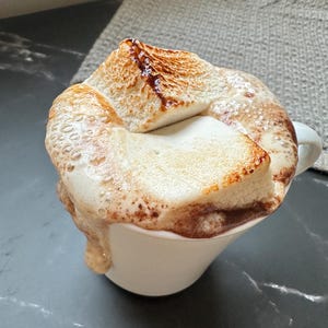 Puede incluir: Una taza de cer&aacute;mica blanca llena de chocolate caliente cubierta con dos malvaviscos grandes tostados. Los malvaviscos son de color marr&oacute;n dorado con bordes carbonizados, y el chocolate l&iacute;quido rebosa el borde de la taza, creando una espuma espesa.