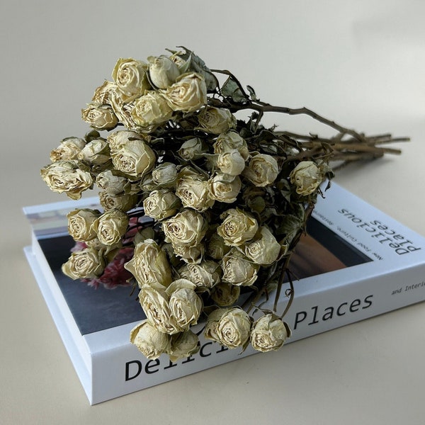 Mini roses séchées à la crème / Mini roses séchées en vrac / Parfaites pour la décoration d'intérieur de mariage Arrangements floraux à faire soi-même