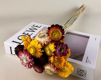 Oranje strobloemen / geconserveerde chrysanten / Tarwechrysant / Perfect voor bruiloft en huisdecoratie DIY bloemstukken