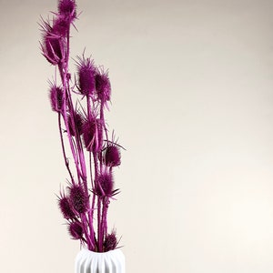 Preserved Thistle / Preserved Pink Thistle / Dried Thistle Flowers / Perfect for Wedding Home Decor DIY Floral arrangements