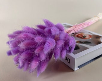 Purple Bunny Tail Dried Flowers / Dried Bunny Tail Grass / 55-60 pieces / Home Decor Wedding Floral Arrangement