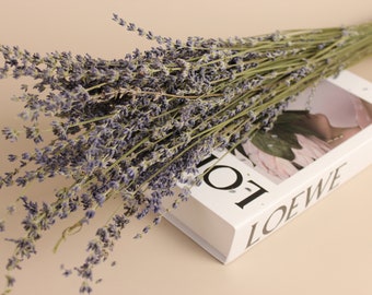 Ramos de lavanda seca / Lavanda seca / Arreglo natural / Perfecto para bodas, decoración del hogar, arreglos florales DIY