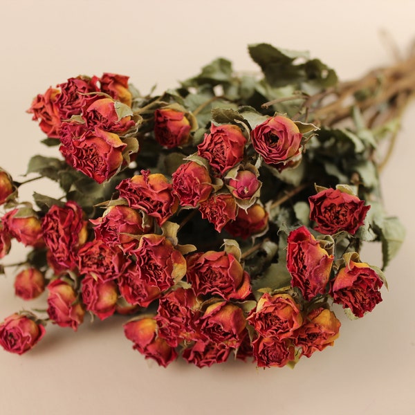 Mini roses séchées / Mini roses séchées en vrac / Parfaites pour la décoration d'intérieur de mariage Arrangements floraux à faire soi-même