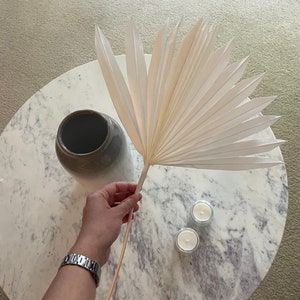 White Sun Palm / Palm Sun Leaf Dried Flowers / Perfect for Wedding Home Decor DIY Floral arrangements