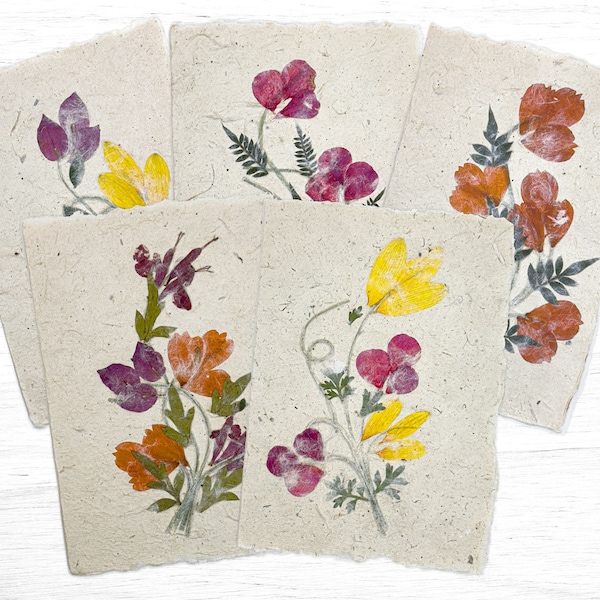 Set of Pressed Flower Cards & Envelopes on Handmade Paper From Madagascar. Blank Cards for notes, thank yous, weddings, and more!