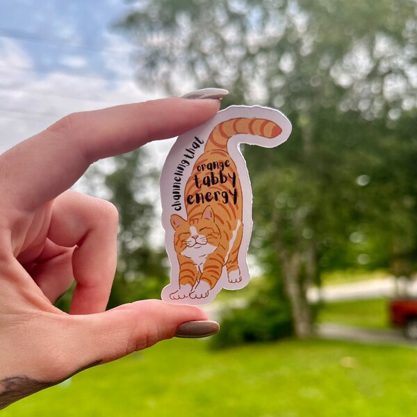 vetmed stickers | orange tabby energy | vet tech | vet assistant | vet nurse | veterinarian | veterinary | R/L/CVT | DVM