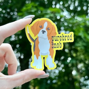 adesivos de esnobe de raça pura | Beagle | Amantes de Beagle | cães de raça pura | | cães de caça | Mãe/pai de Beagle | técnico veterinário | treinador | criador | tosador
