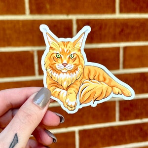 autocollant | Maine coon | amoureux des chats | chats de race | chat orange