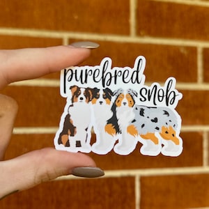 Pegatinas de snob de raza pura / Pastor australiano / Amantes de los perros australianos / Perros de raza pura / Mamá/papá australiano / Técnico veterinario / Entrenador / Criador / Peluquero