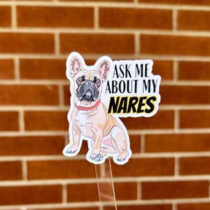 doorgewinterde stickers | vraag me naar mijn neusgaten | stenotische neusgaten | dierenartstechnologie | dierenartsassistente | dierenarts verpleegkundige | dierenarts | veterinair | R/L/CVT | DVM