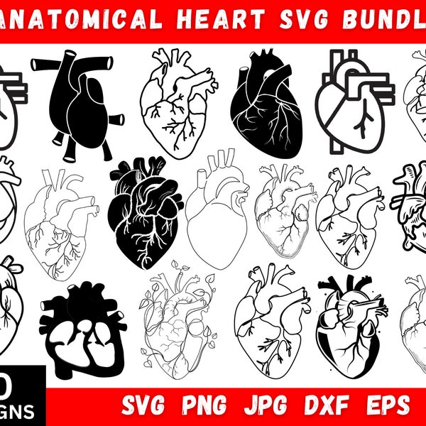 Anatomical Heart Svg Bundle, Human Heart Svg, Anatomical Heart, Medical Svg, Human Heart, Heart Clipart, Svg Files For Cricut