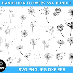 May include: A set of 30 black and white dandelion flower SVG designs. The designs feature dandelions in various stages of bloom, with some showing seeds blowing in the wind. The text "30 DESIGNS" and "SVG PNG JPG DXF EPS" is included in the image.