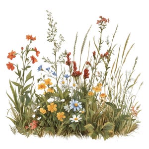 Pu&ograve; includere: Un vibrante bouquet di fiori selvatici con fiori arancioni, rossi, gialli, blu e bianchi. I fiori sono disposti in un lussureggiante ambiente di prato verde.