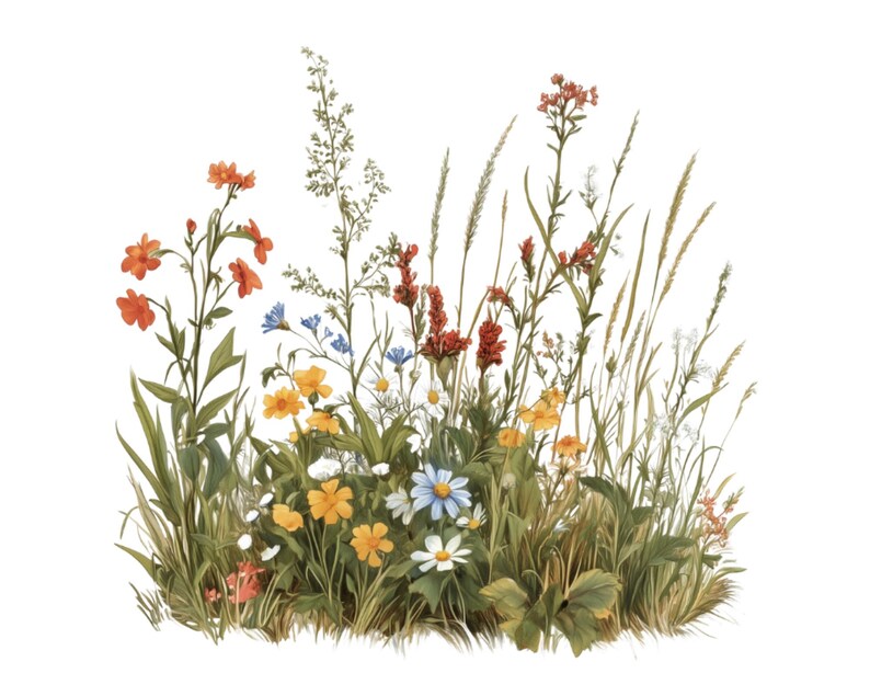 Pu&ograve; includere: Un vibrante bouquet di fiori selvatici con fiori arancioni, rossi, gialli, blu e bianchi. I fiori sono disposti in un lussureggiante ambiente di prato verde.