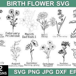 Birth Flower Svg, Birth Flower Png, Birth Flower Clipart, Birth Flower Dxf, Svg Files For Cricut, Birth Flower Bundle Svg, Silhouette