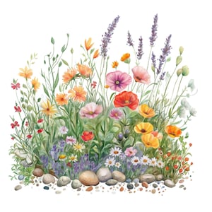 Pu&ograve; includere: Dipinto ad acquerello di un bouquet di fiori selvatici, tra cui papaveri, lavanda e margherite, con una spolverata di piccole pietre alla base.