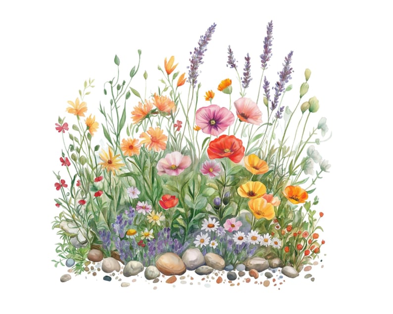 Pu&ograve; includere: Dipinto ad acquerello di un bouquet di fiori selvatici, tra cui papaveri, lavanda e margherite, con una spolverata di piccole pietre alla base.