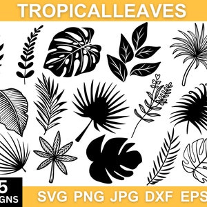 Tropical Leaves Svg, Tropical Leaves Png, Tropical Leaf Svg, Leaf Svg, Tropical Party Decor, Leaves Svg, Svg Files For Cricut