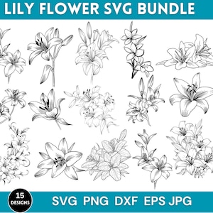 15 Lily Flowers Svg Bundle, Lily Flowers, Lily Flowers Png, Botanical Svg, Lilies Bouquet Svg, Svg Files For Cricut,Instant Download